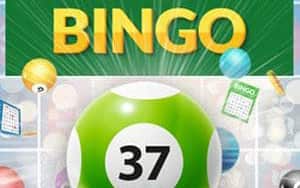 Bingo 37 Ticket